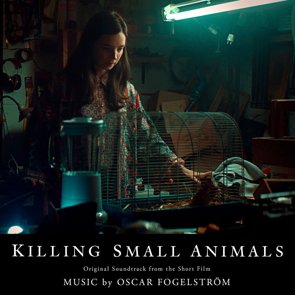 Killing Small Animals — cover art